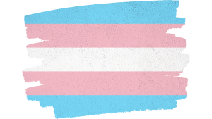Trans flag